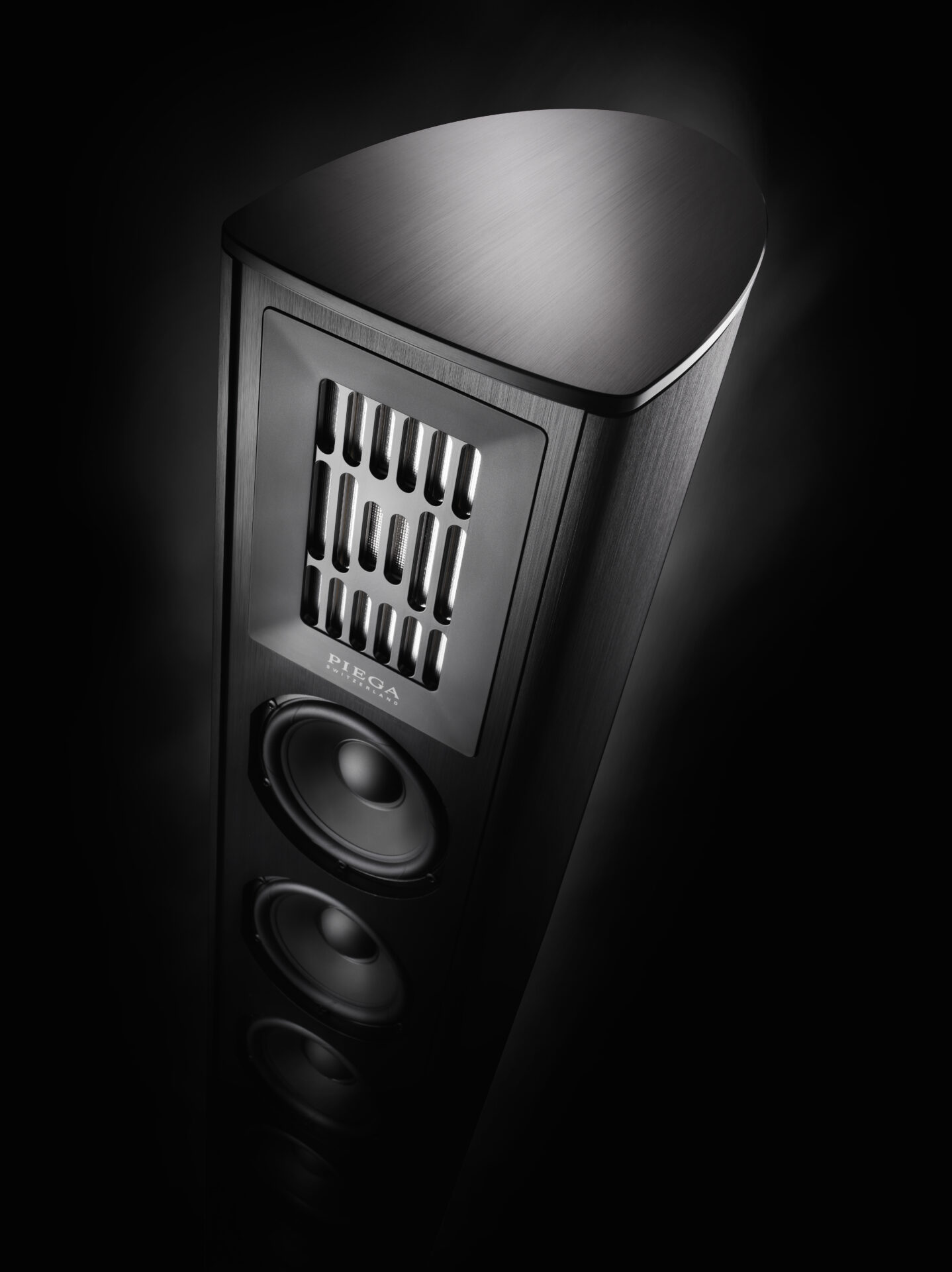 Piega Coax 611