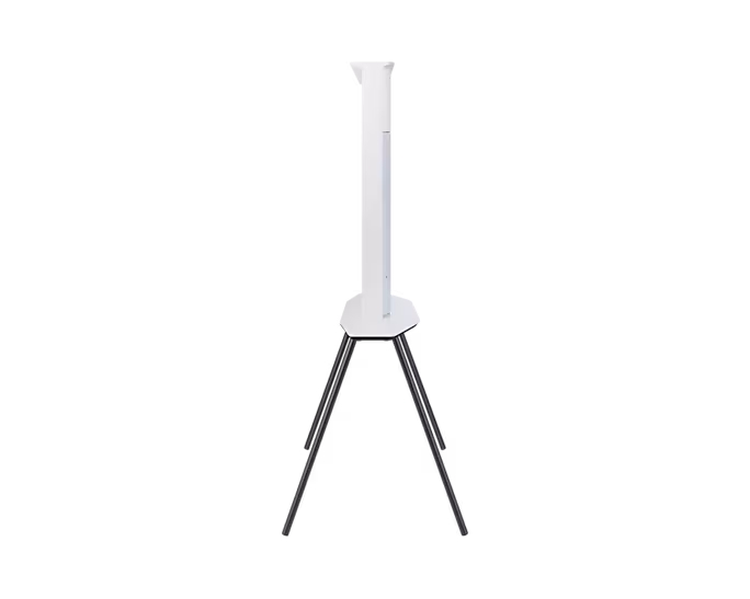 Samsung QE55LS01BAUXXN